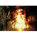 Luminescente perpetuo, 1995